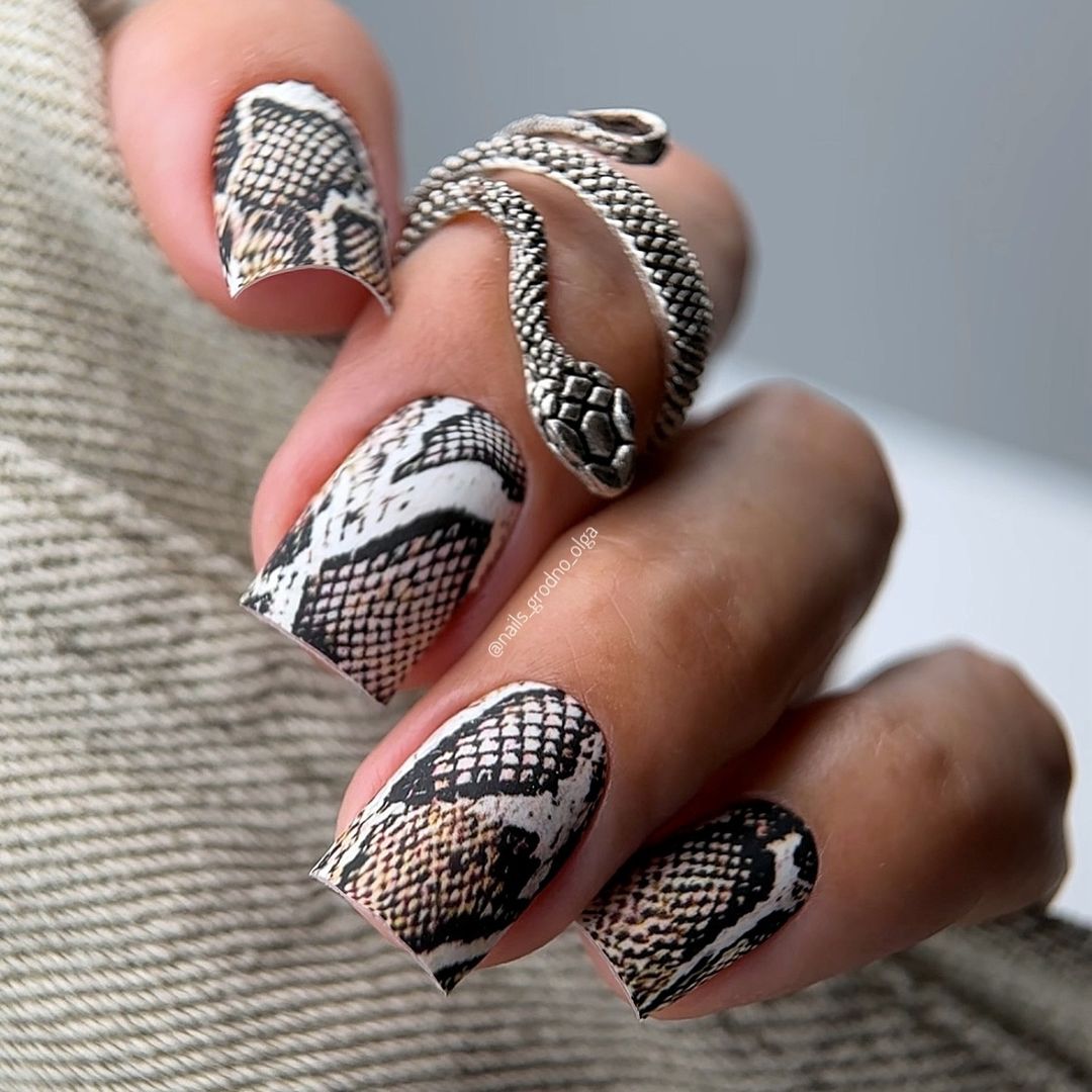 669 - Dangerous Python Mani